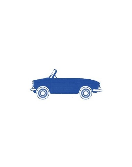 Carrosserie Autobianchi Bianchina